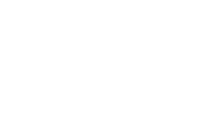 Logo Fiemme Tremila